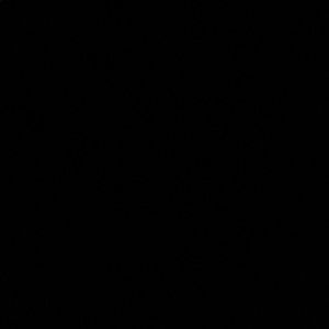 Meet your Posher, Adrianna